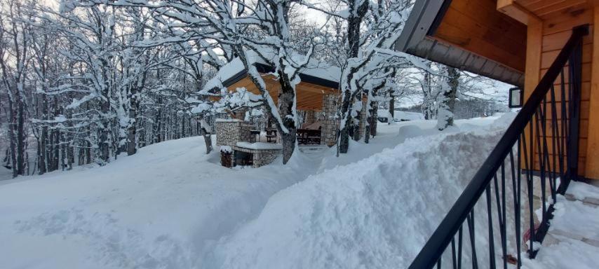 Vila Sun Forest Žabljak Zewnętrze zdjęcie