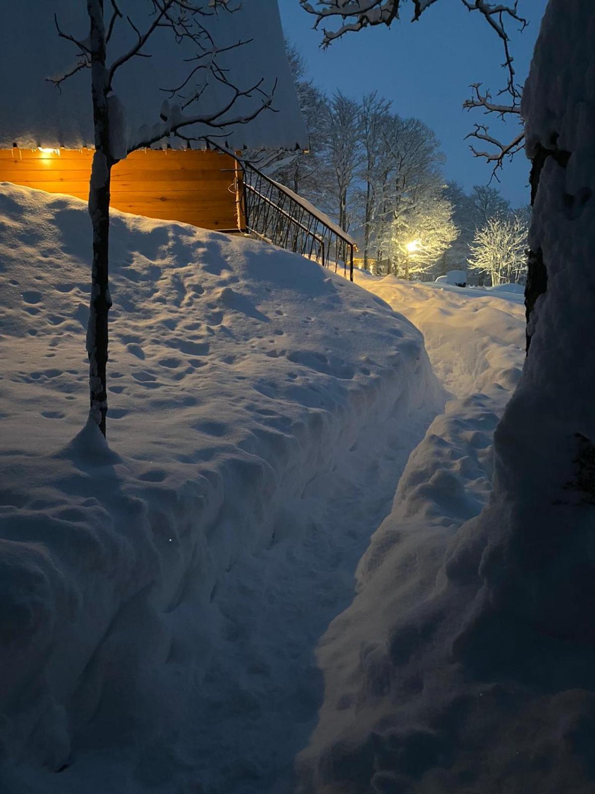 Vila Sun Forest Žabljak Zewnętrze zdjęcie