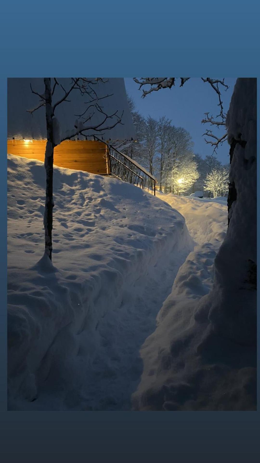 Vila Sun Forest Žabljak Zewnętrze zdjęcie