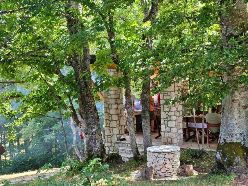 Vila Sun Forest Žabljak Zewnętrze zdjęcie